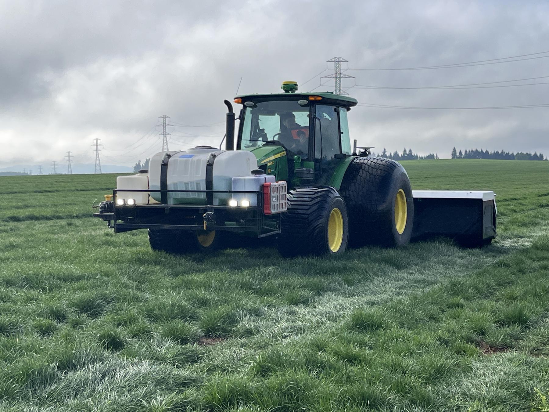 Atlas crossing a grass field.