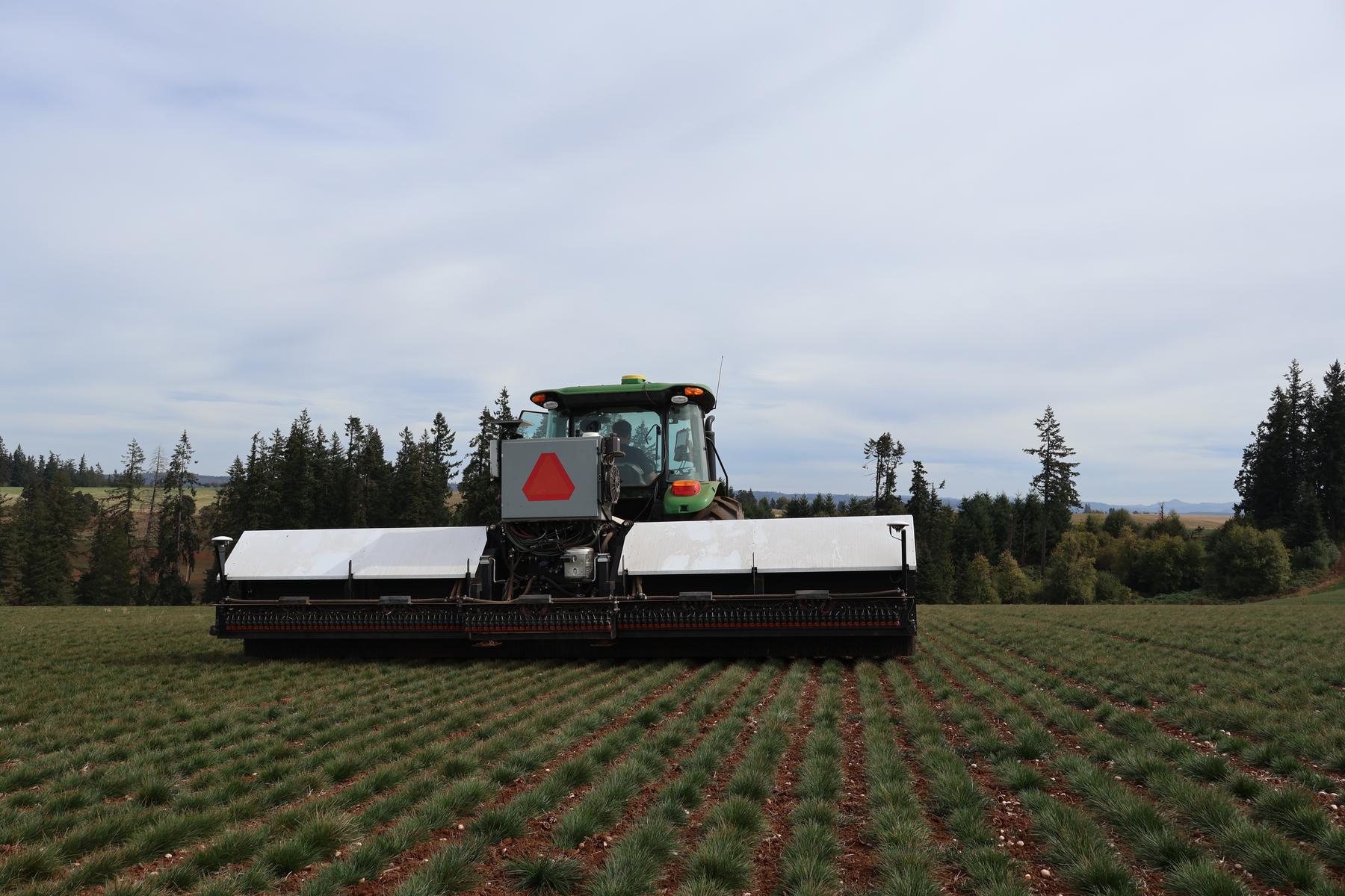 Atlas working along grass rows.